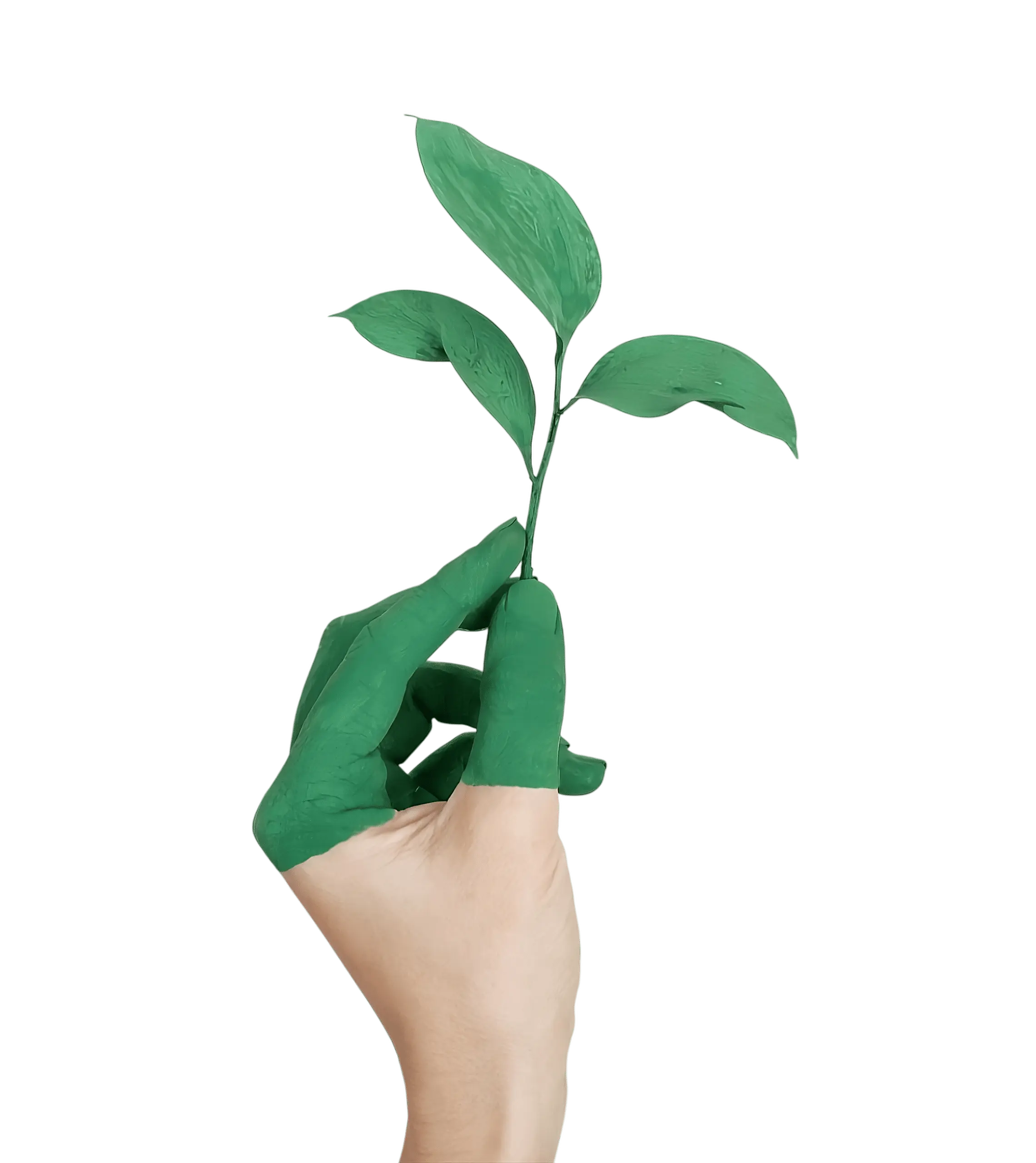 Schermata del software di reporting GHG
